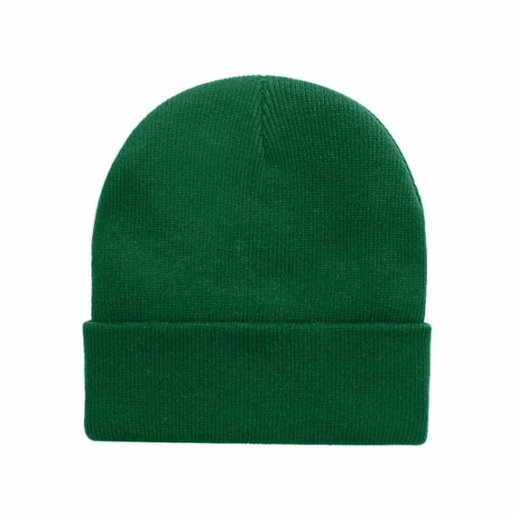 BLTIBY Warm Knit Beanie Hat for Women Men Winter Thermal Soft Stretch Cuffed Skull Cap for Outdoor Cold Weather Headwear Green Free Size