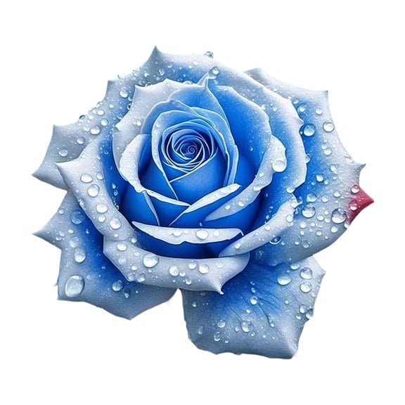 BLUE ENCHANTRESS ROSE 500-Count Premium Dried Rose Petals for Wedding Decor, Romantic Bath Soak & Event Styling