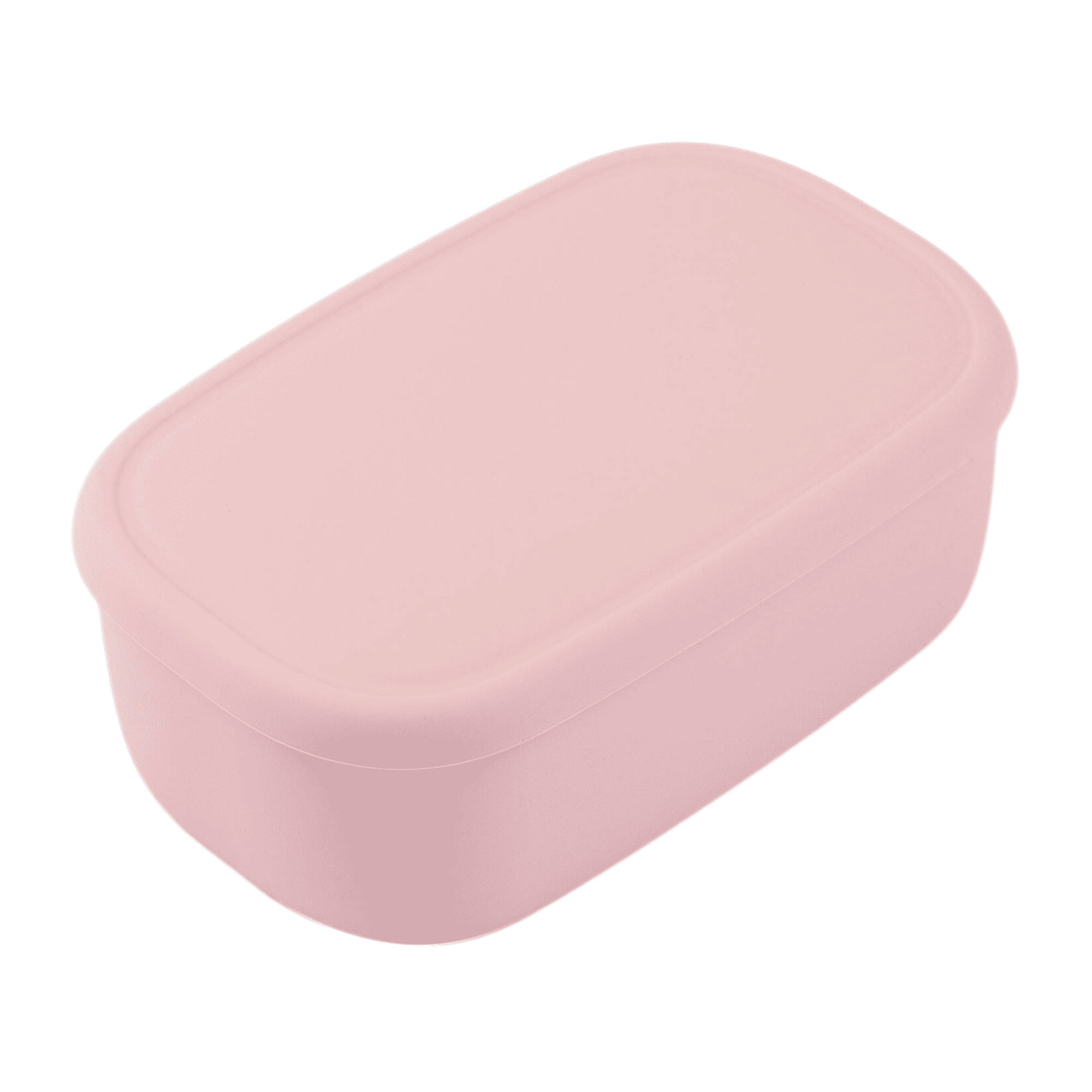 BLUE GINKGO Large Silicone Container, Airtight Food Storage | (47oz ...