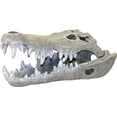 thumbnail image 1 of BLUE RIBBON PET PRODUCTS , EE-354 , EXOTIC ENVIRONMENTS NILE CROCODILE SKULL ,, 1 of 2