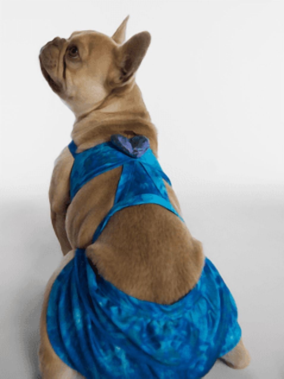 Hot Dog Summer By Megan Thee Stallion Blue Barkini Dog Bikini, Medium