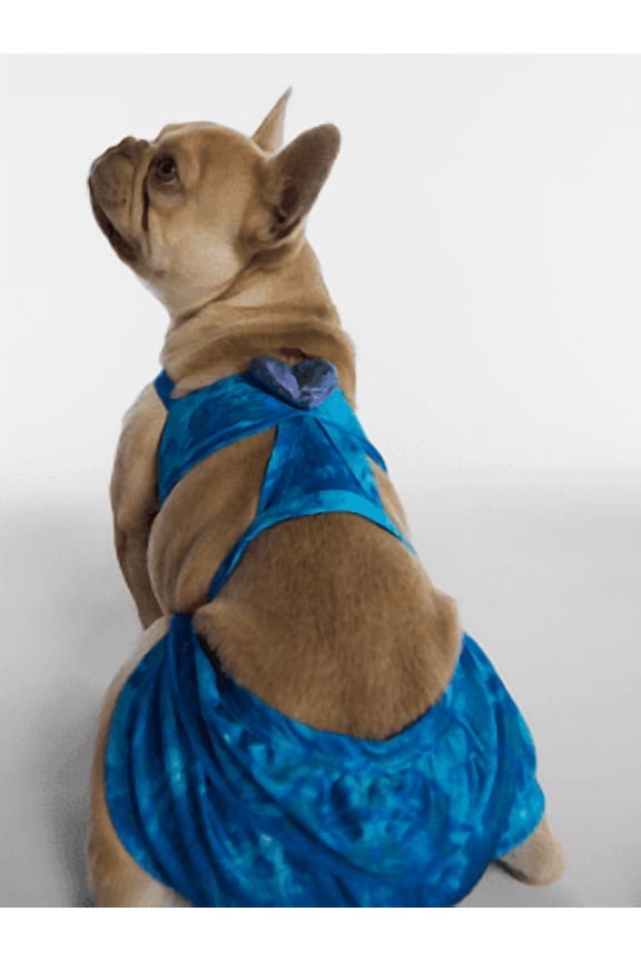 Hot Dog Summer By Megan Thee Stallion Blue Barkini Dog Bikini, Medium
