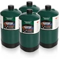 BLUEFIRE 16.4 oz Propane Replacement Fuel Camping Gas Cylinder Pack of