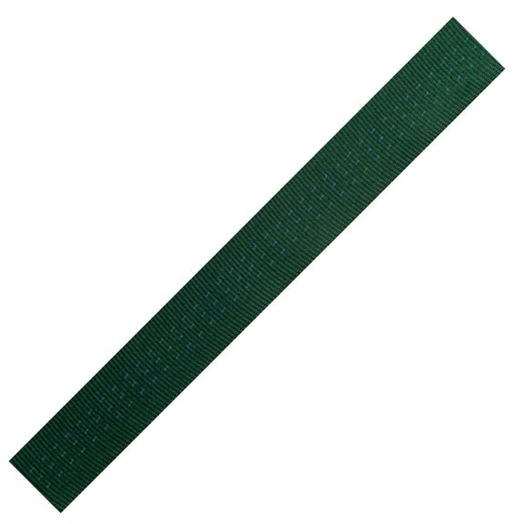 BLUEWATER ROPES 1in X 100yds Tubular Climb-Spec Green Nylon Webbing (7901GR)