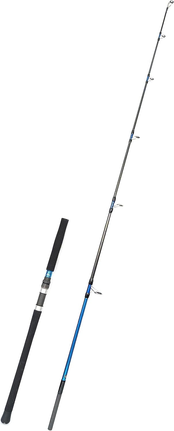 Bluefish Rod BLUEWING Bluefin Spinning Fishing Rod 2 Pieces Lightweight Carbon Fiber ...