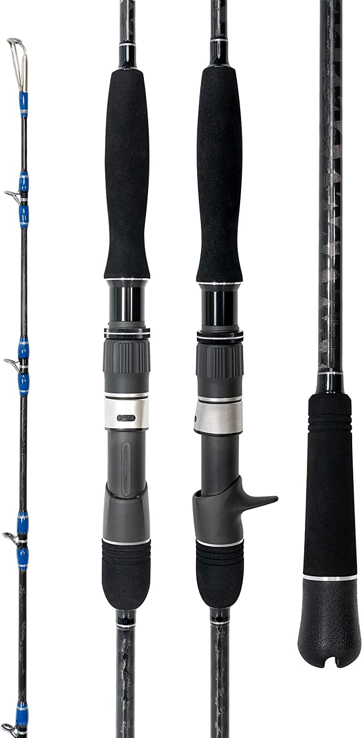 BLUEWING Casting Rods Fishing Rod 1 Piece Fishing Pole with SIC K ...