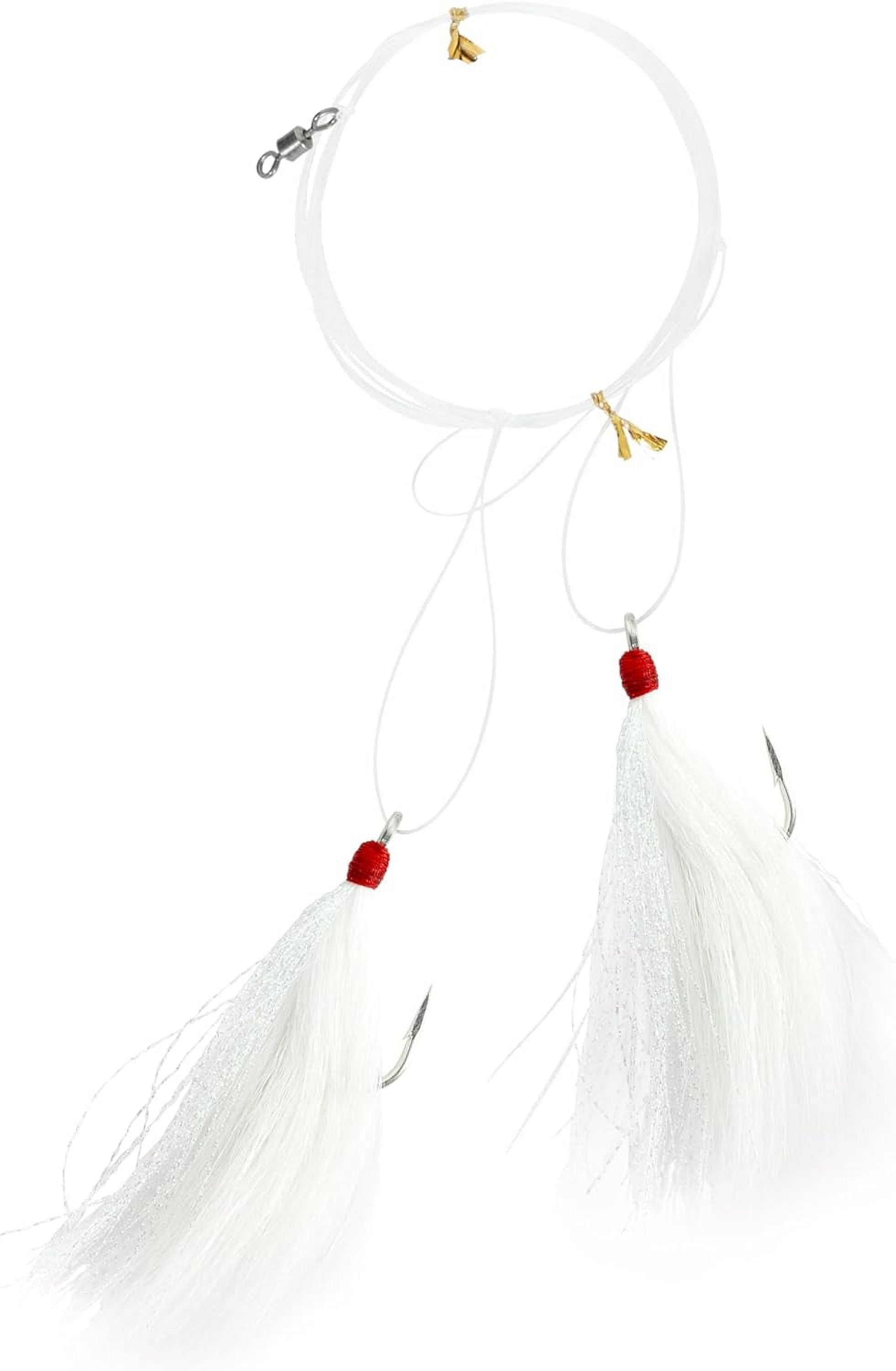 Tsunami hi lo teaser rig