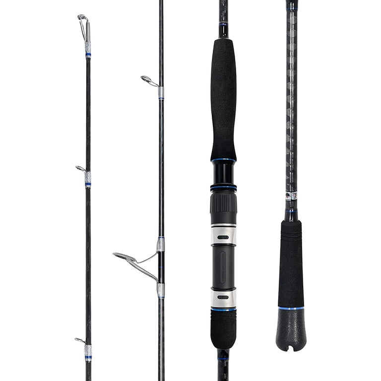 bottom fishing pole BLUEWING Spinning Rods Fishing Rod 1 Piece Fishing Pole with SIC K-series  Guides and Stainless Steel Frame for Inshore Fishing, Bottom Fishing,
