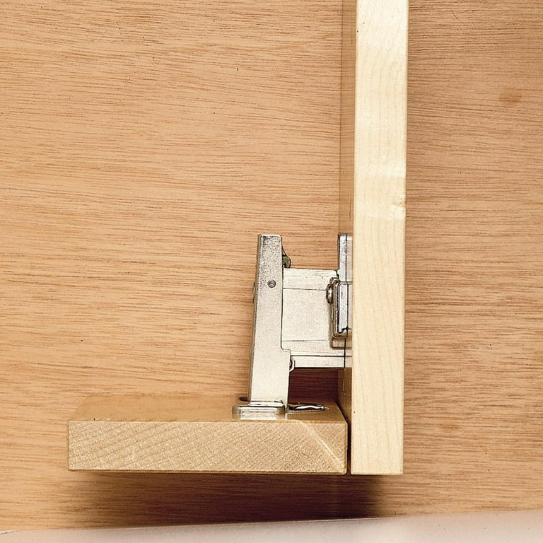 Blum 2024 inset hinges