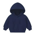 thumbnail image 1 of BLVB Toddler Baby Hoodie Long Sleeve Pullover Hooded Sweatshirt Kids Boy Girl Basic Sports Tops Fall Winter Outfit, 1 of 4