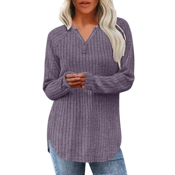 BLVB Tunic Tops for Women Loose Fit Dressy Ribbed Knit Long Sleeve Shirts Trendy Fall Fashion V Neck Sweaters Curved Hem