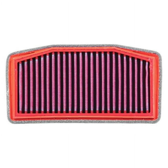BMC FM01001/04 Replacement Air Filter for Triumph Street Triple 765 R (2017+)