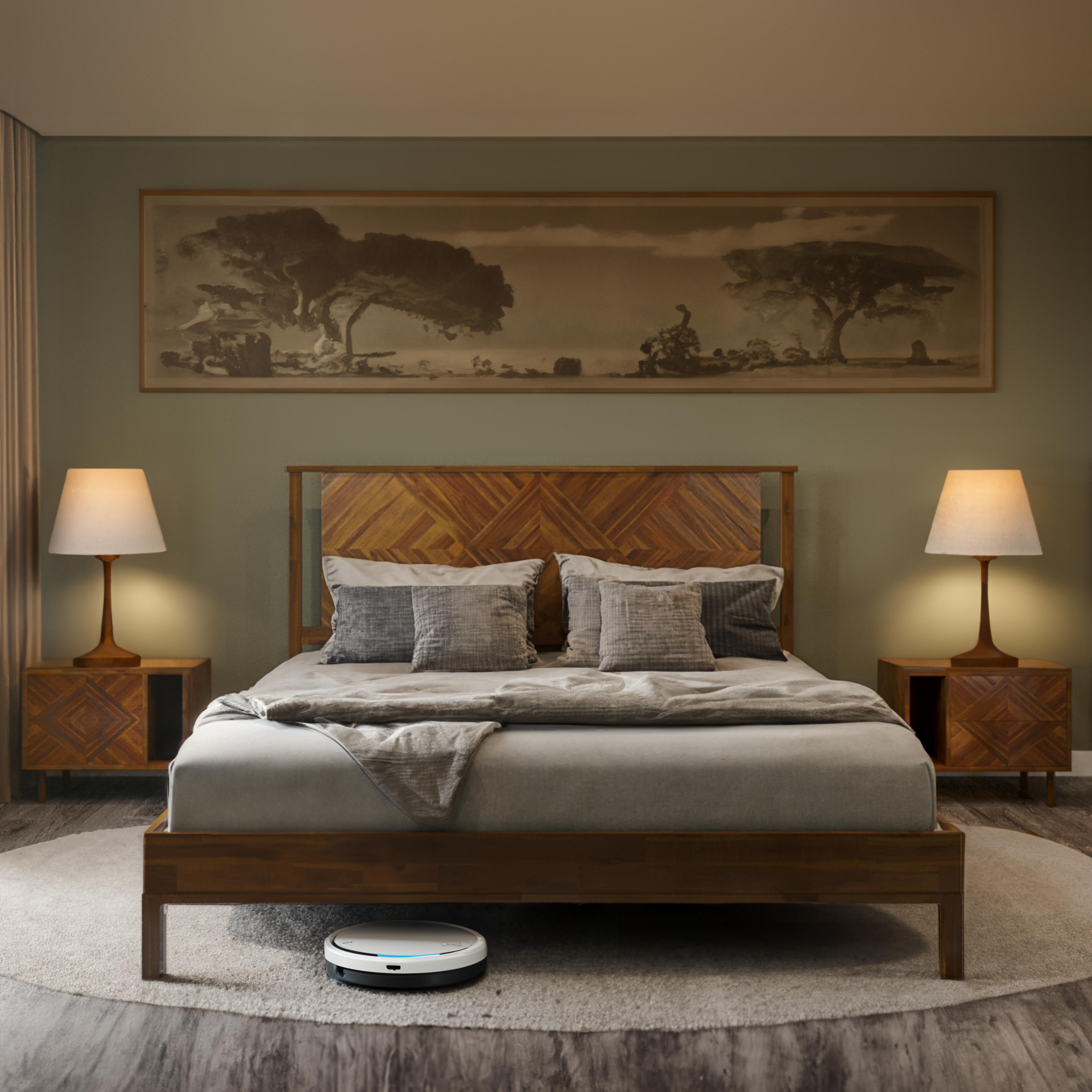 Hillsdale Furniture Vancouver Dark Antique Brown Metal Arched King