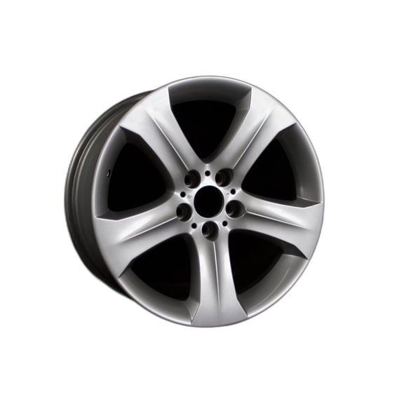 BMW X6 Wheel 2007-2014 19" Factory OEM Silver 36116778586