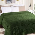 thumbnail image 1 of BNM Boho Knit Plush Soft Fleece Blanket, Throw, Green, 1 of 8