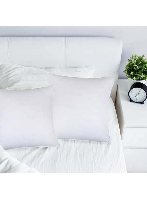 Euro pillows in Bed Pillows