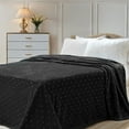 thumbnail image 1 of BNM Polka Dot Plush Soft Fleece Blanket, Twin, Black, 1 of 9