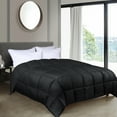 thumbnail image 1 of BNM Reversible Comforter, Full/Queen, Black, 1 of 10