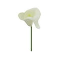 thumbnail image 1 of BNNG Artificial Calla Lily Flowers 14 inch Long Stem For Home Kitchen Wedding Table Decoration Centerpiece Vase Arrangement Party Event Decor, 1 of 4