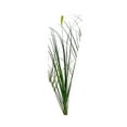 thumbnail image 1 of BNNG Artificial Grass Plants Outdoor Fake Shrubs Wheat Grass Cattails 22 Inch Tall Onion Grass Greenery Stems UV Resistant Ornamental Grass Bushes Plant for Indoor Outdoor Home Garden Decor, 1 of 5