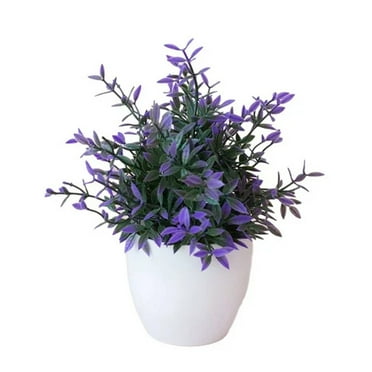 BNNG Artificial Potted Small For Shelf Green In White Plastic Pot For Home Bathroom Decor Artificial Succulent Plants Fake Flower swag