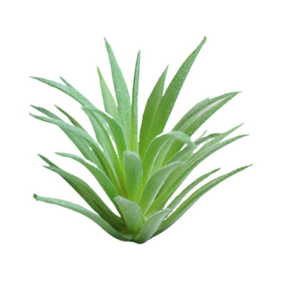 BNNG Artificial Succulent Plants - Faux Succulents Unpotted Fake Succulent Plants,Double Flocked Succulents,Realistic Textured Cactus,Crafting DIY Floral Decor for Home Garden Office Party