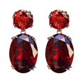 thumbnail image 1 of BNNG Christmas Crystal Earrings Fashion Exquisite Ice Flower Ladies Earrings Beautiful Creative Ear Jewelry Chritmas Glamour Earrings Christmas Sparkle Earrings, 1 of 2