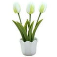 thumbnail image 1 of BNNG Creative Flower Pot Mini Bonsai Ornament Tulips Flower Simulation Three-Headed Decoration & Hangs for Home Office, 1 of 3