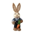 thumbnail image 1 of BNNG Easter Decorations Bunny, Tabletop Sisal Easter Bunny Figurine with Carrot, Straw Rabbit Decor Statue, Spring Decorations for Home Table Office Kitchen Farmhouse Puccinia Bunny Decoration, 1 of 3