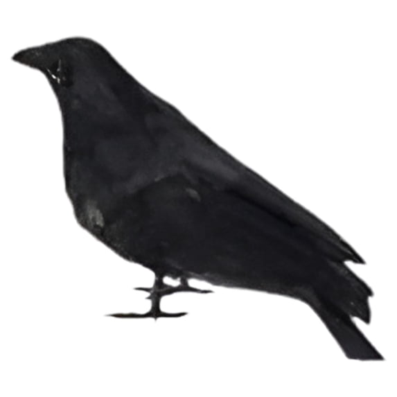 BNNG Halloween Black Feathered Crows, Realistic Feathered Black Birds Raven, Halloween Decoration for Indoor Outdoor Home Yard Garden Party Decor