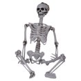 thumbnail image 1 of BNNG Halloween Skeleton Decorations, Full Body Realistic Faux Human Skeletons Posable Joints Halloween Skeletons for Haunted House Props Décor Full Body Mini Plastic Skeleton for Yard Garden, 1 of 7