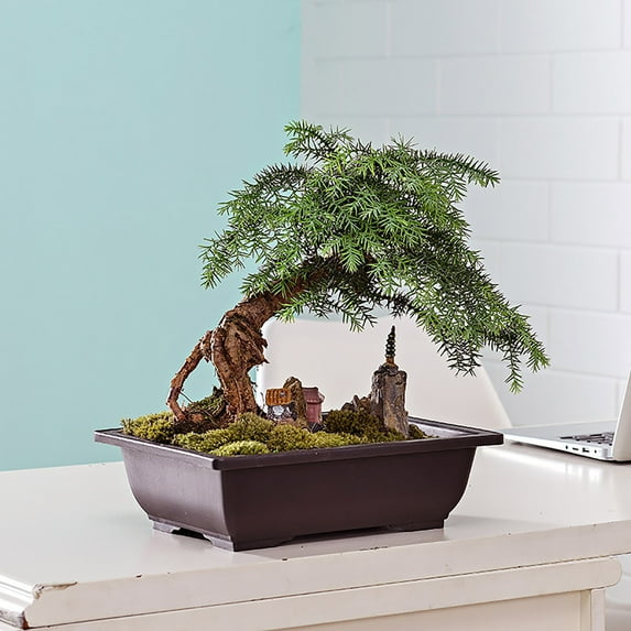 BNNG Plastic Square/Rectangle Antique Flower Pot, Imitation Purple Sand Color Small Succulent Plants Bowl, Balcony Garden Supplies Rectangular Flower Pot Home Garden Small Potted Plastic Flower Pots