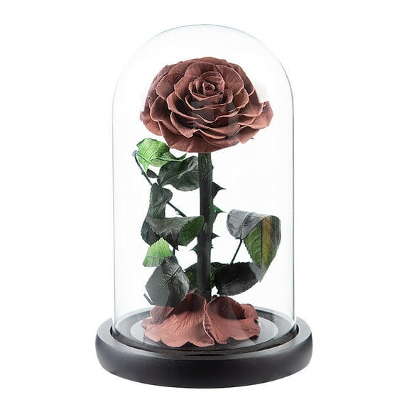 BNNG Roses Gift For Her Birthday Gifts For Women Colorful Artificial Flower Rose Gift Light Up Rose In A Glass Mom Gifts Unique Love Gifts For Mom Silk Floral Stems Fake Flower Table Centerpieces