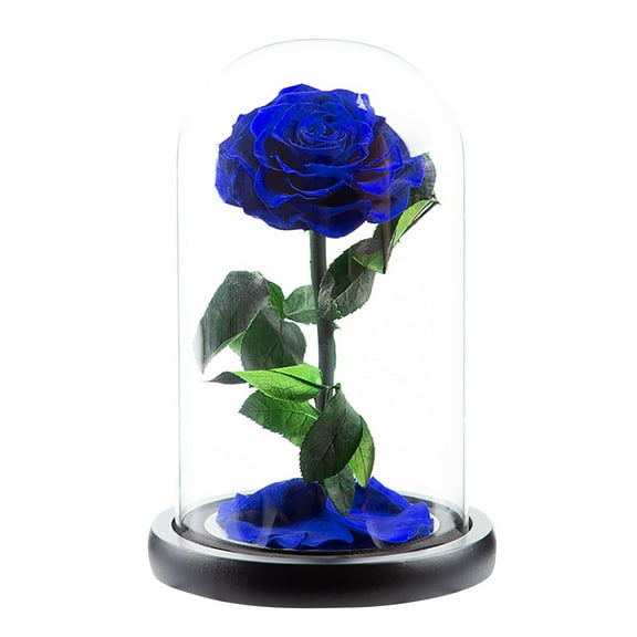BNNG Roses Gift For Her Birthday Gifts For Women Colorful Artificial Flower Rose Gift Light Up Rose In A Glass Mom Gifts Unique Love Gifts For Mom Silk Floral Stems Fake Flower Table Centerpieces