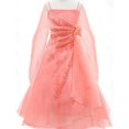 thumbnail image 1 of BNY Corner A-Line Organza Long Dress Coral 8 HC1251, 1 of 5