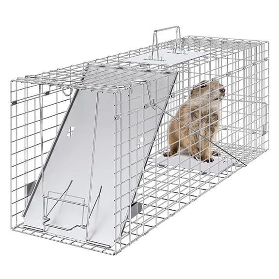 BOBOKY Live Animal Cage Trap, 31" x 10" x 12" Humane Cat Trap Galvanized Iron, Folding Animal Trap with Handle for Rabbits, Stray Cats, Squirrels, Raccoons, Groundhogs and Opossums
