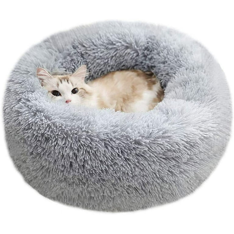 Teddy small dog pet bed Teddy small dog pet bed