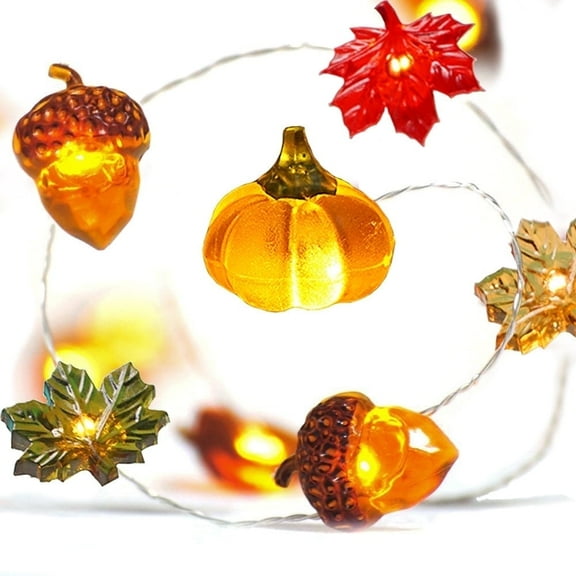 BOHON Thanksgiving Decoration Acorn 3D Pumpkin Maple Leaf Indoor/Outdoor 10ft Battery Operated LED Stri 10ft 30 LEDs