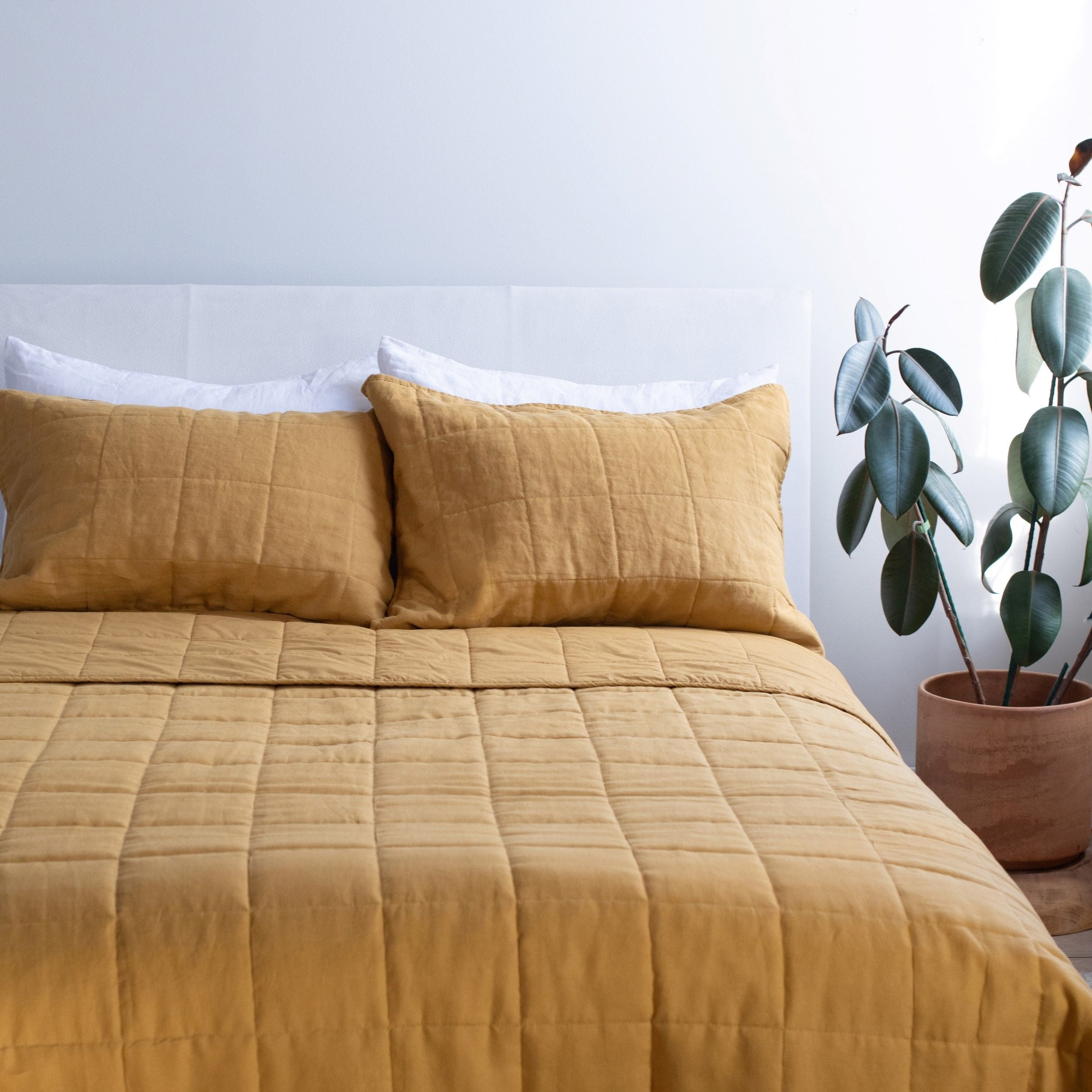Honey Twin Microfiber Quilt Set