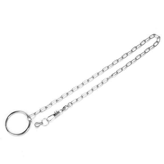 BOKYAN Stainless Steel Pet Birds Parrot Foot Chain Anklet Training Harness for Sun Conure and Psittacula Eupatria Durable Anklet Leash Accessories Safe Bird Exercise Toy Equipment 10 inches / 25.4 cm