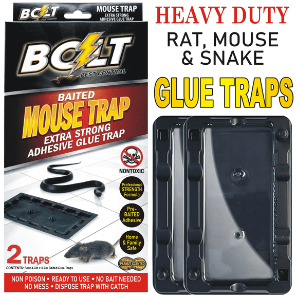 BOLT Glue Mouse Trap Extra Strong Adhesive - Profession Strength Formula (6 TRAPS)