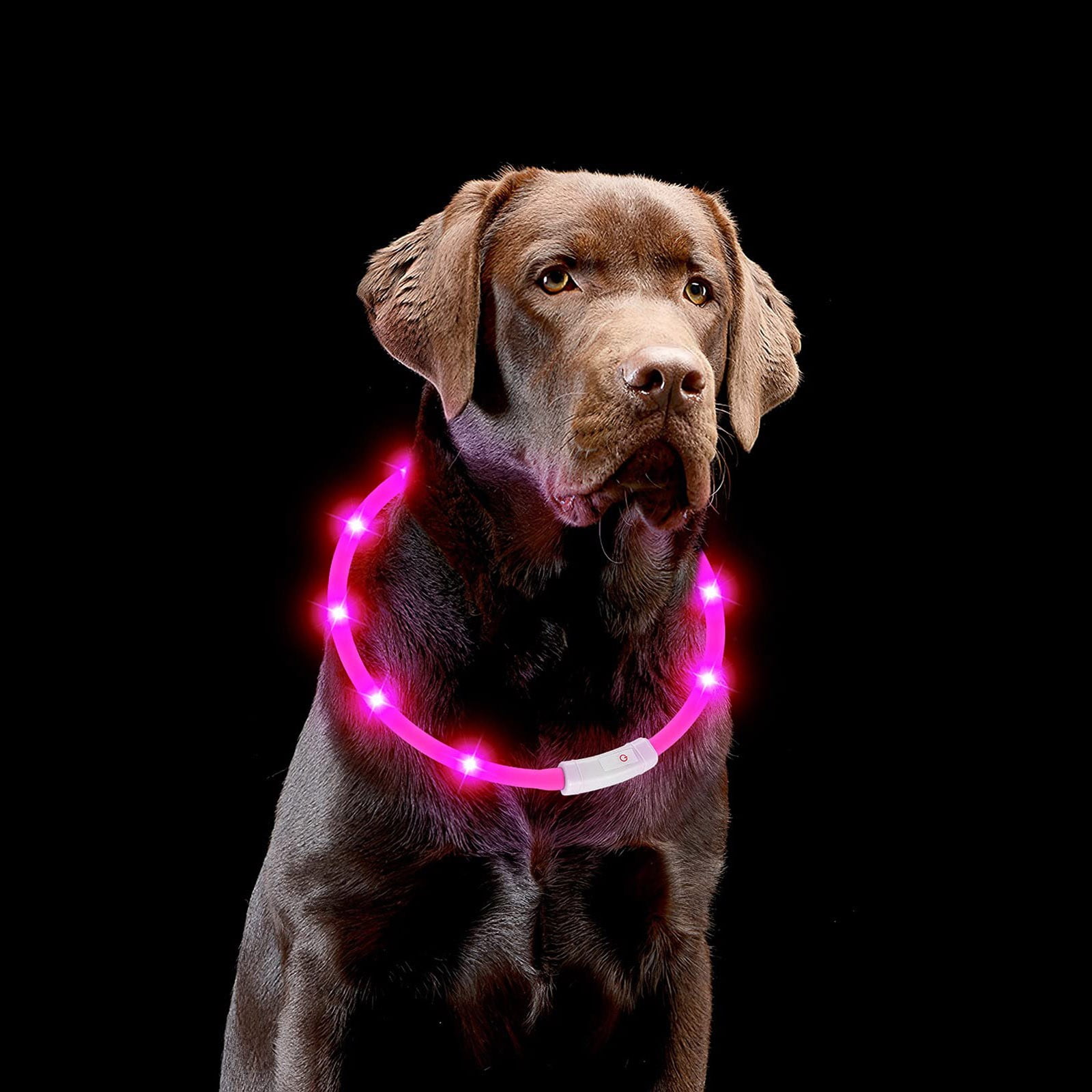 BOLUOYI 4th of July Outdoor LED Dog Collar Lights For Night Time Dog