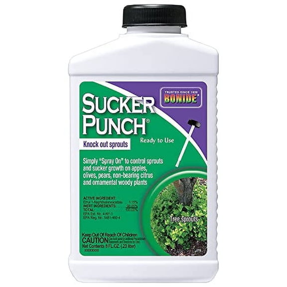 BONIDE PRODUCTS BND276 Ready to Use Punch Stop Suckers Sprouting from Roots and Pruning Cuts, 8 oz, Pack 1