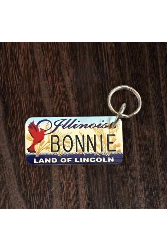 BONNIE Name Keychain License Plate Illinois Land of Lincoln Great Gift 2 New