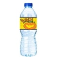 thumbnail image 1 of BOO! PumpkinWater Bottle Labels-12pack, 1 of 1