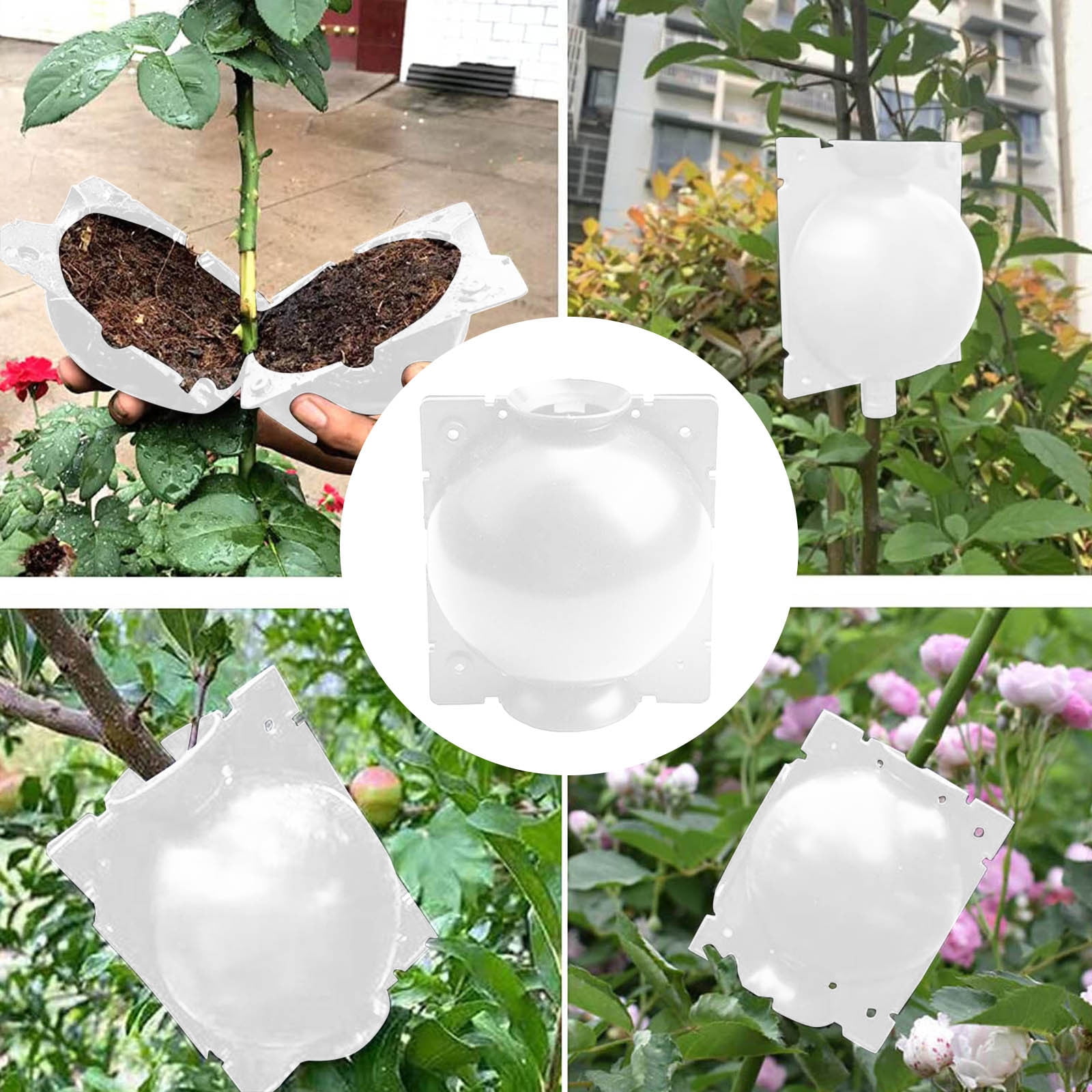 BOOKR Reusable Air Layered Pod And Propagation Kit Rooting With Zipper ...