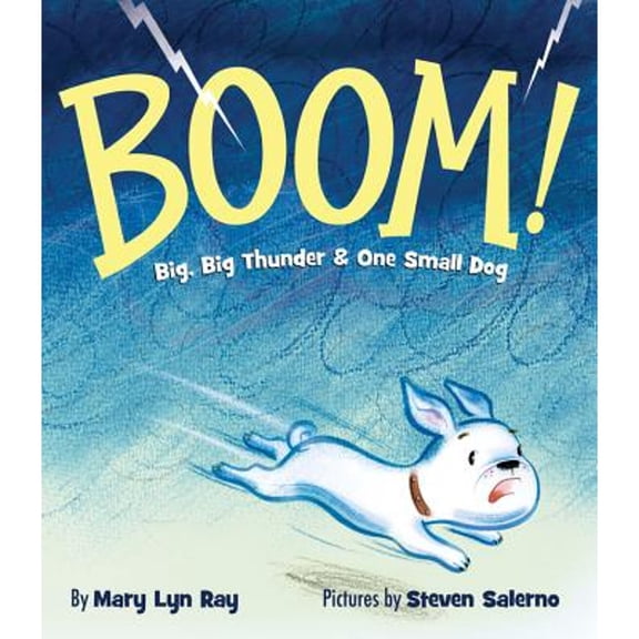Pre-Owned Boom!: Big Big Thunder & One Small Dog (Hardcover) 1423162382 9781423162384