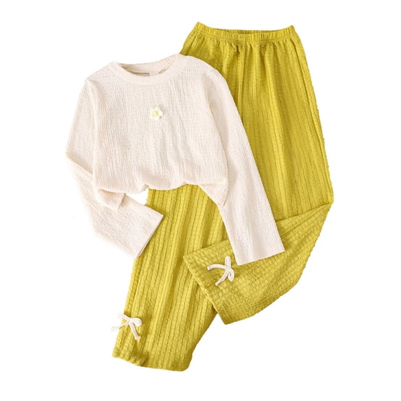 BOOMNY Girls 2 Peice Outfit Sets Solid Long Sleeve Tops Pants Sets for Kids Comfy Clothing Set
