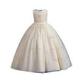 thumbnail image 1 of BOOMNY Toddler Girls Ball Gown Sleeveless Wedding Mesh Tutu Dresses for Girl Solid Color Lightweight Loose Fit Stage Performance Dress, 1 of 8