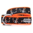 thumbnail image 1 of BOOS! Collar, 1 of 5